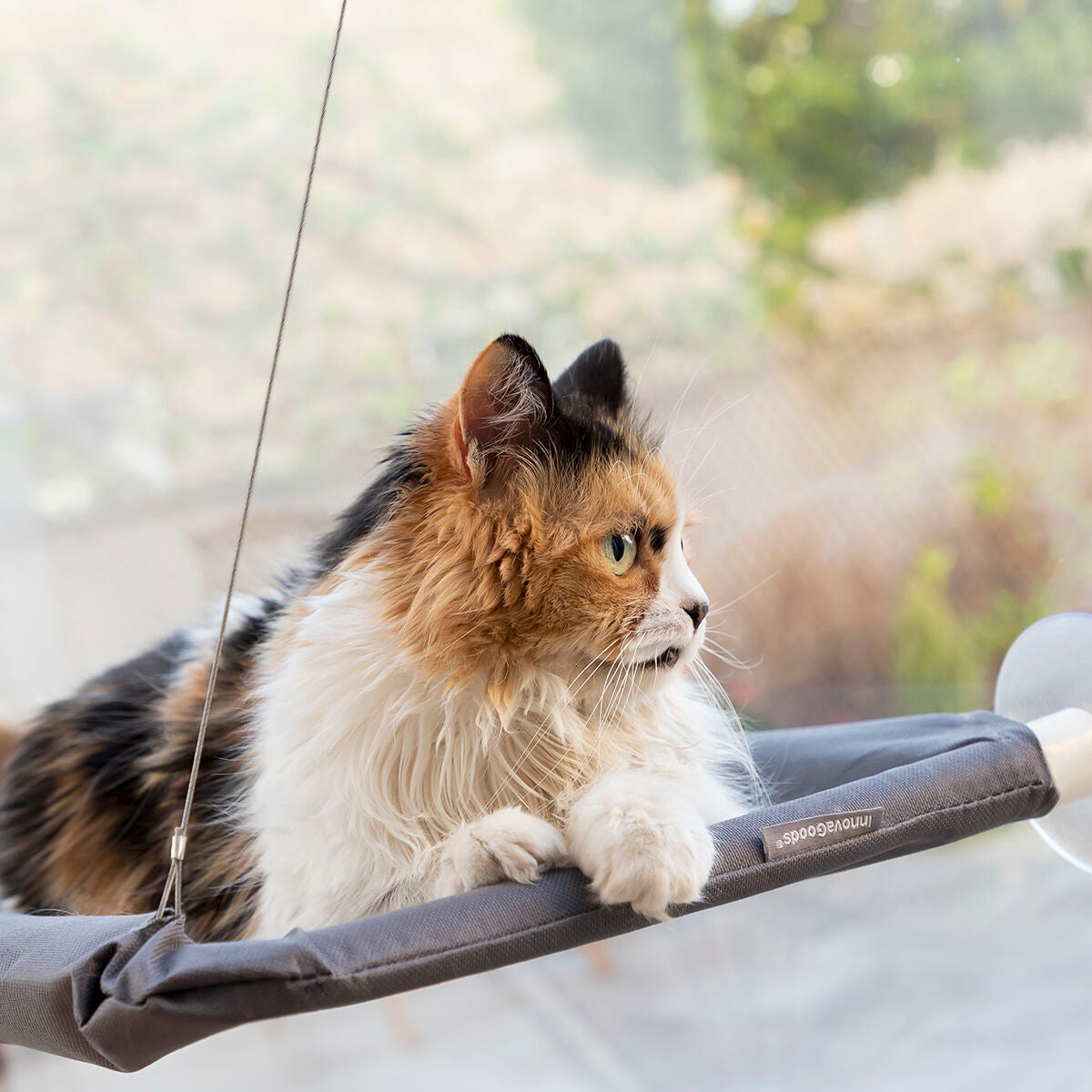 Innovagoods Hängematte Für Katzen Catlax Innovagoods